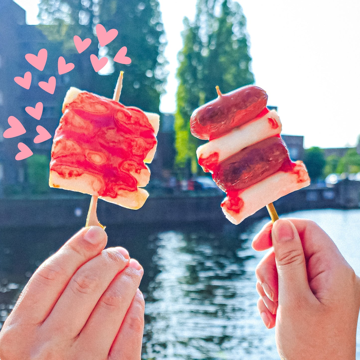 Ddeokkeochi / Rijstcake spies